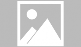 河北省电子税务局,便捷高效税务服务新体验